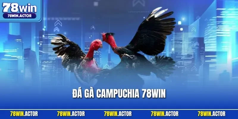 Đá Gà Campuchia 78WIN| Trang Web Chọi Kê Hấp Dẫn Nhất 2025